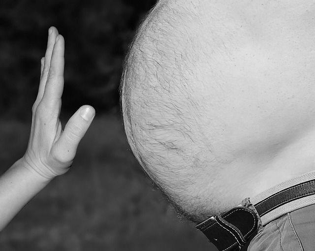 mejores dietas