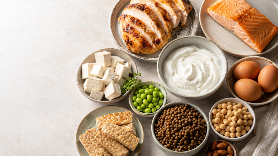 alimentos ricos en proteína